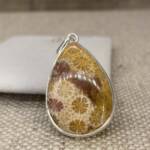 Pendentif Corail Fossile