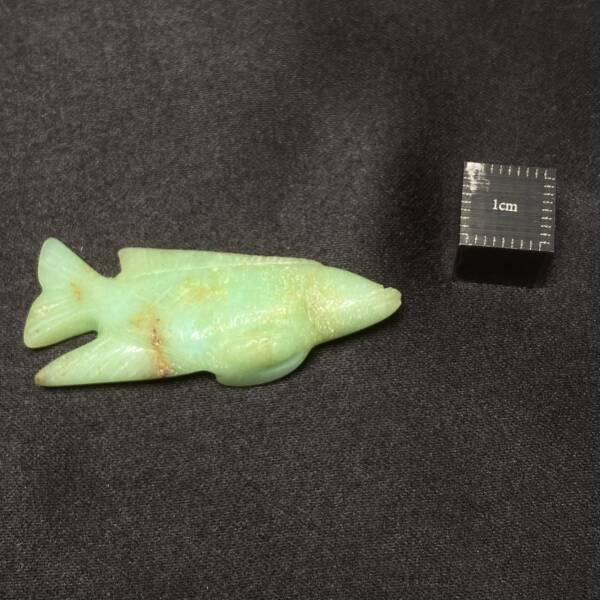 Poisson Chrysoprase