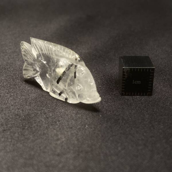 Poisson Quartz Tourmaline