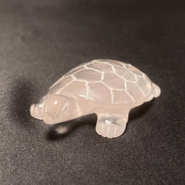 Tortue Quartz Rose