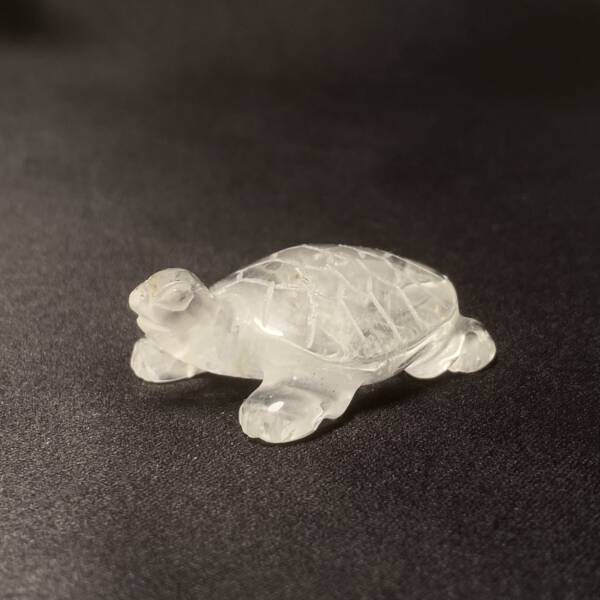 Tortue Cristal de Roche