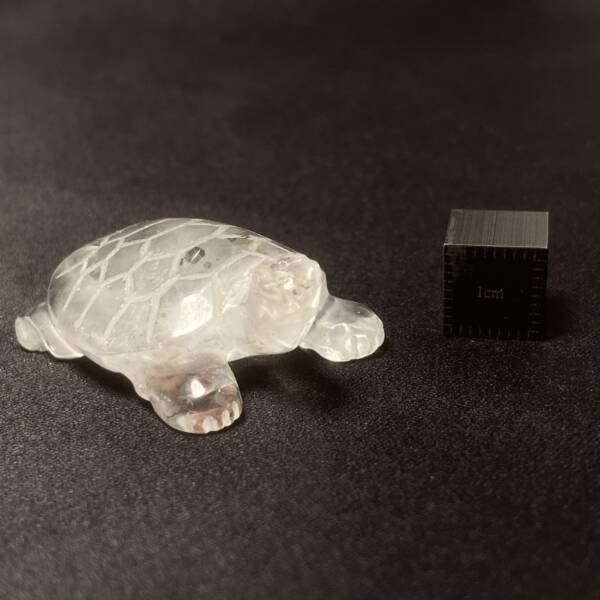 Tortue Cristal de Roche