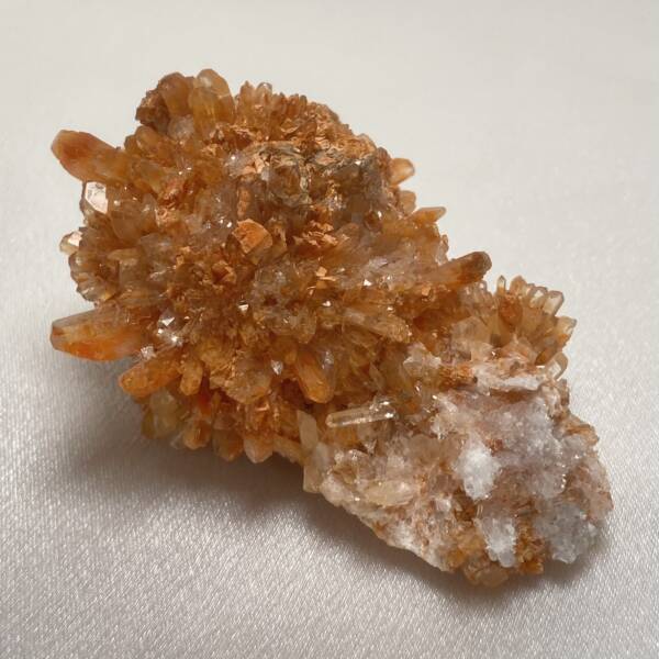 Creedite