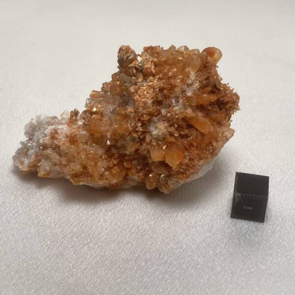 Creedite