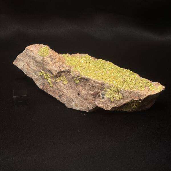 Autunite