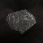 Trilobite
