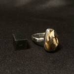 Bague Bois Fossile