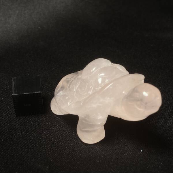 Tortue Quartz Rose