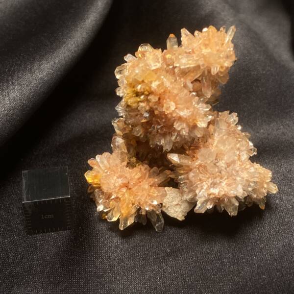 Creedite