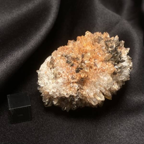 Creedite