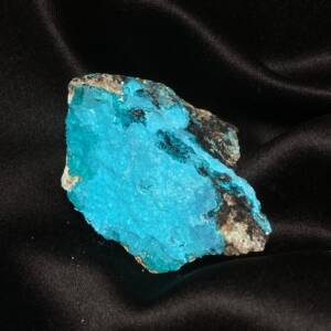 Chrysocolle