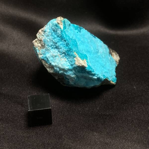 Chrysocolle