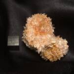 Creedite