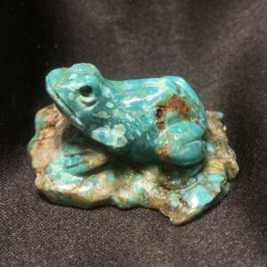 Grenouille Turquoise