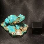 Grenouille Turquoise