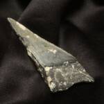 Dent Carcharodon Mégalodon