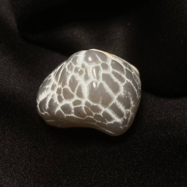 Agate Peau de Serpent