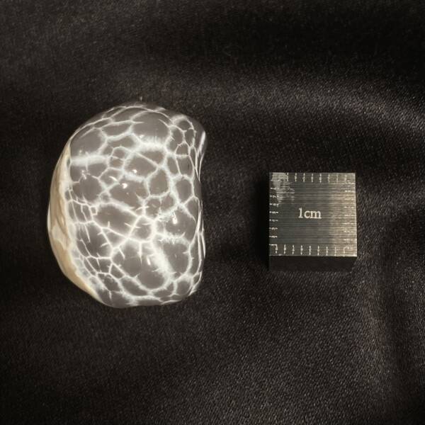 Agate Peau de Serpent