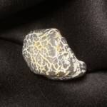 Agate Peau de Serpent
