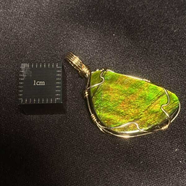 Pendentif Ammolite