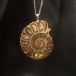 Pendentif Ammonite