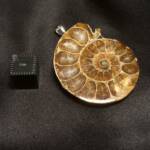 Pendentif Ammonite