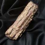 Bois Fossile