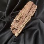 Bois Fossile