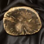 Bois Fossile