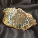 Bois Fossile