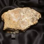 Bois Fossile