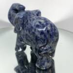 Eléphant Sodalite
