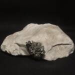 Marcassite