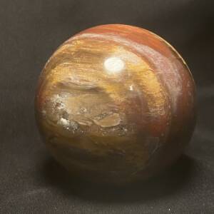 Sphère en Bois Fossile