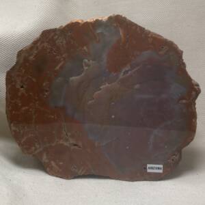 Bois fossile