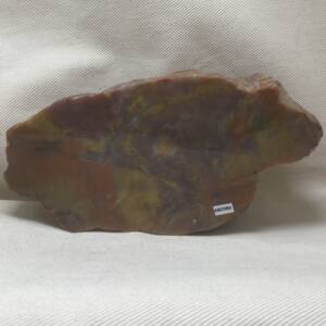 Bois fossile