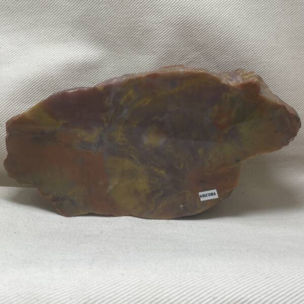 Bois fossile