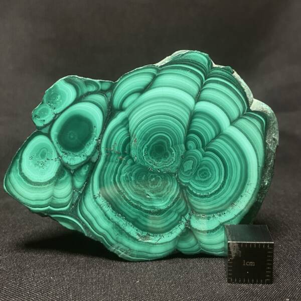 Tranche de Malachite