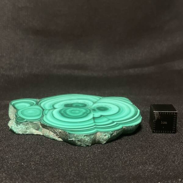 Tranche de Malachite