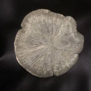 Marcassite "Dollar"