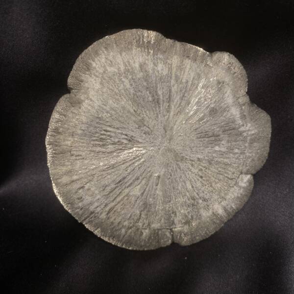 Marcassite "Dollar"