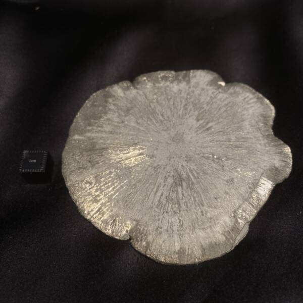 Marcassite "Dollar"