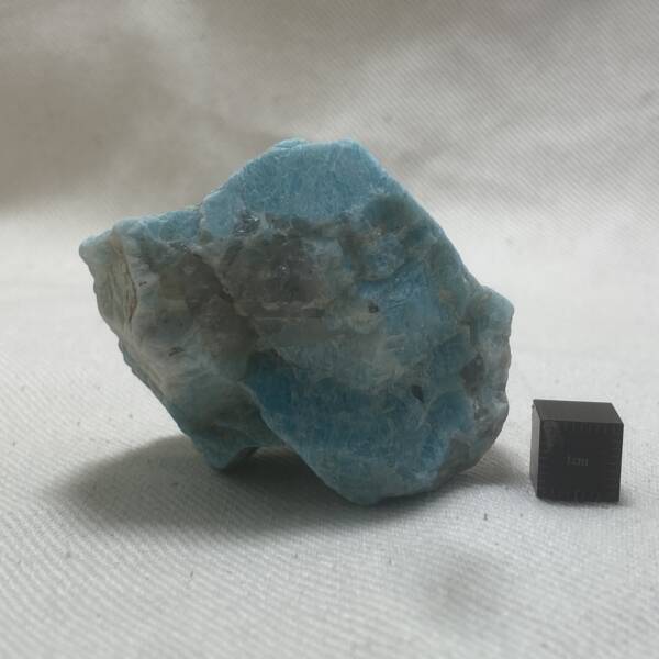 amazonite brute