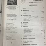 Minéraux et fossiles n°6