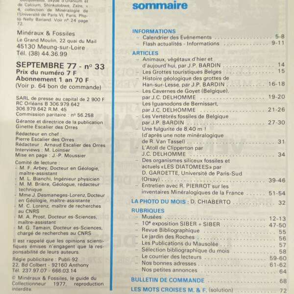 Minéraux et fossiles n°33