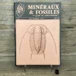 Minéraux et fossiles n°34