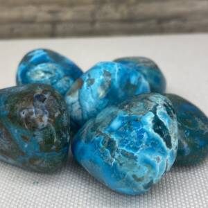 Chrysocolle polie