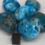 Chrysocolle polie