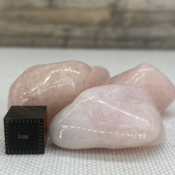 Morganite polie