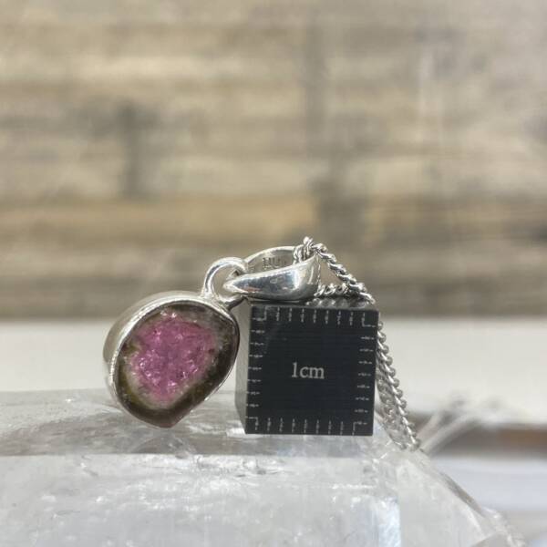Pendentif en Tourmaline Melon d'eau